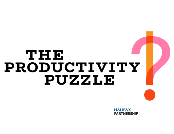 The Productivity Puzzle