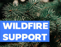 Halifax Wildfires Business Support